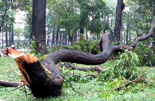 [-]TP[-]HCM[-]sẽ[-]di[-]dời[-]5.000[-]người[-]nếu[-]áp[-]thấp[-]nhiệt[-]đới[-]vào